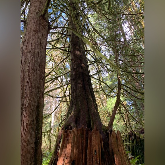 Meet the Posher - Picture 1 of 8